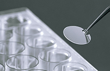 Cell Culture Related Products