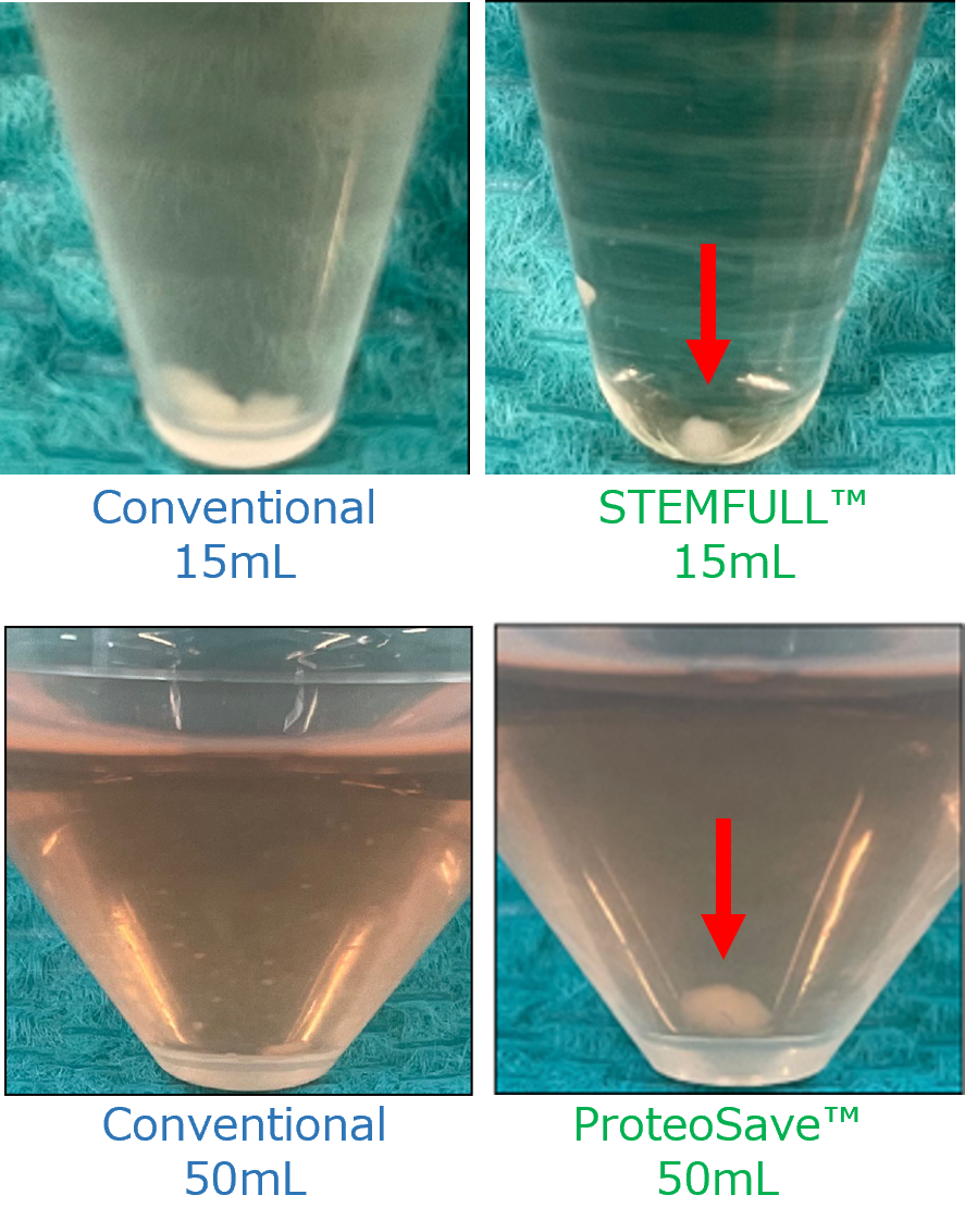 Comparison of Spheroid Formation