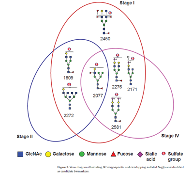The figure illustrates the upregulation patterns of sulfated N-glycans across different breast cancer stages, demonstrating that specific glycans are distinctly elevated in early-stage breast cancer.