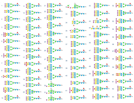 Fig.  The combination of BlotGlyco&trade; and HPLC enables precise glycan analysis