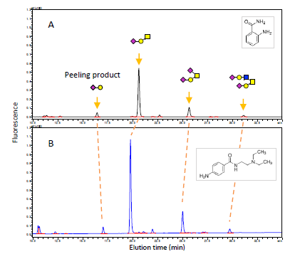 Preparation and LC-MS Analysis of Procainamide-Labeled O-Glycans Using EZGlyco® O-Glycan Prep Kit