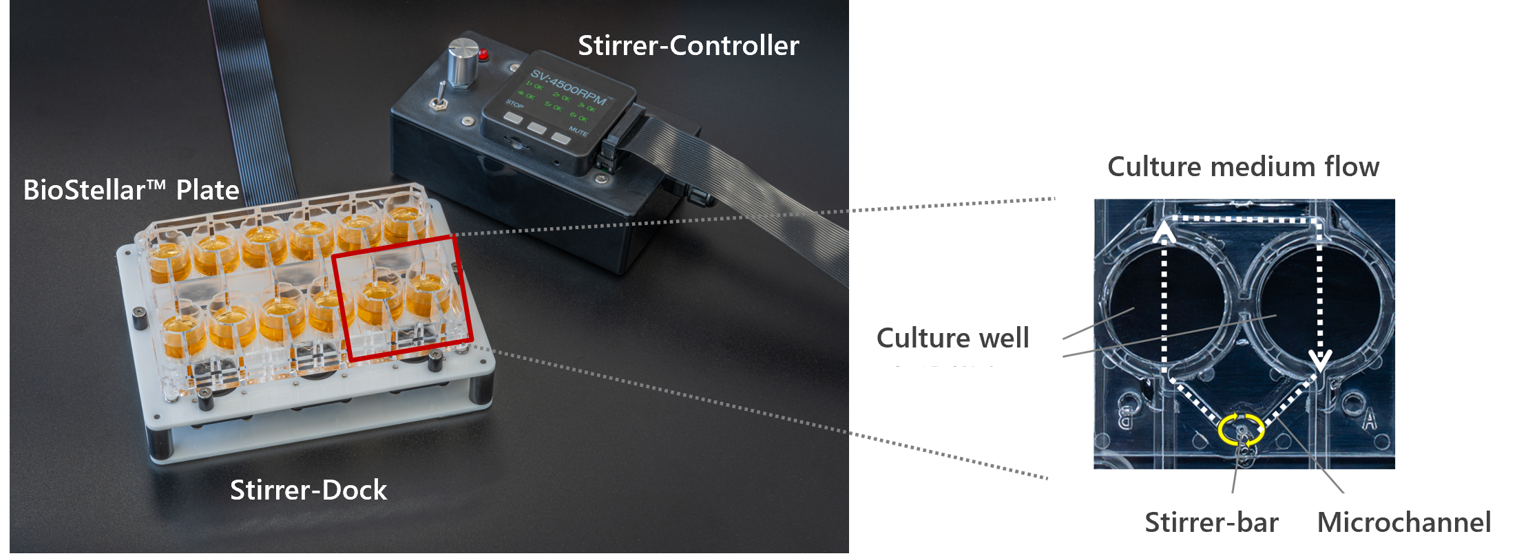 Multi-Organ Microphysiological System BioStellar™ Plate