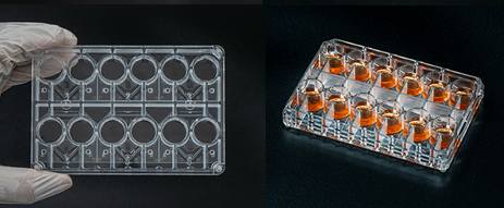 Multi-Organ Microphysiological System BioStellar™ Plate