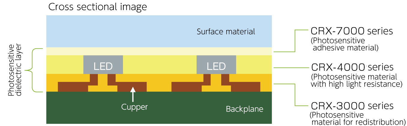 Cross sectional image