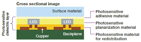 Cross sectional image