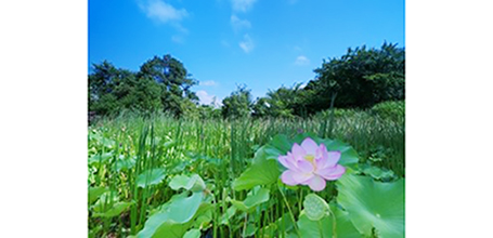 The company’s biotope, Ikoi no Mori