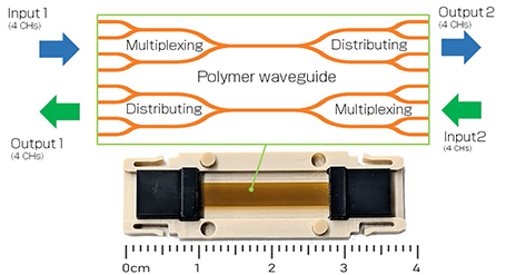 Figure 1: Multi-core, optical branching connector (Example of 4 CHs to 4 CHs)