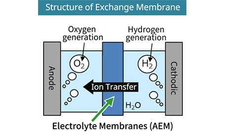 Structure of Exchange Membrane
