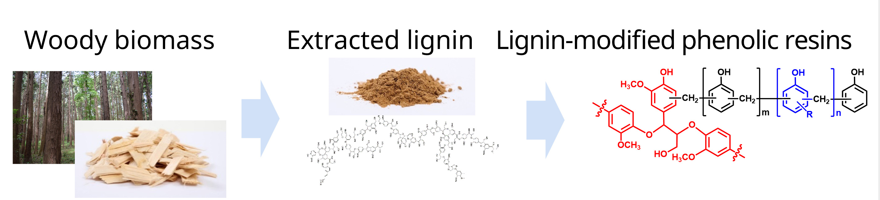 Solid Novolac-Type Lignin-Modified Phenolic Resin