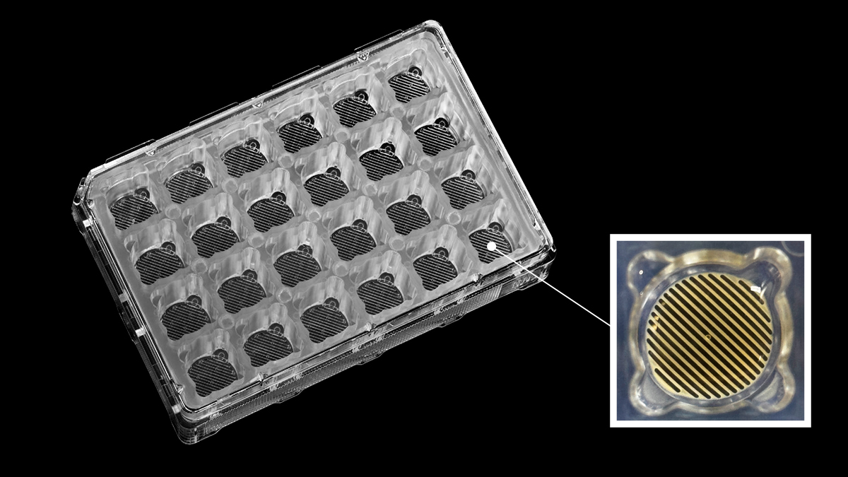 Expansify&trade; 24 well plate