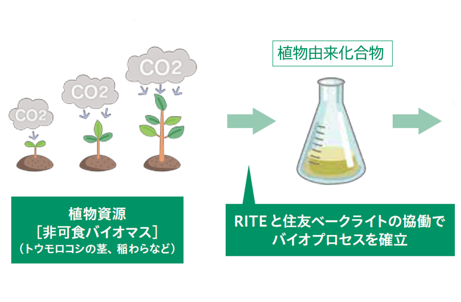 非可食バイオマスから植物由来化合物