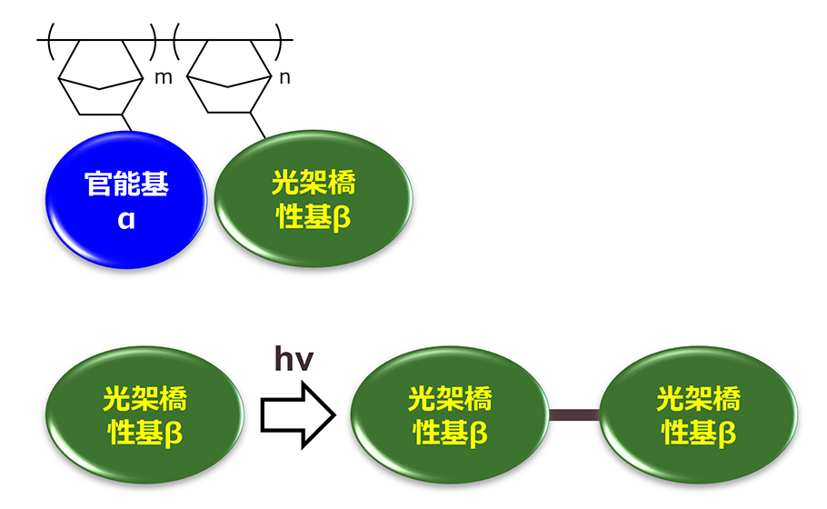 加熱フリー光硬化COP構造図