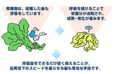 鮮度を保つしくみ
