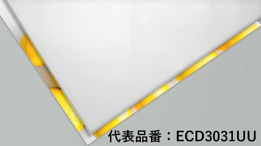 ECD3031UU写真