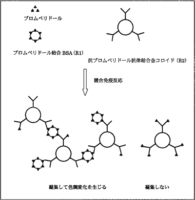 測定原理（原理図）