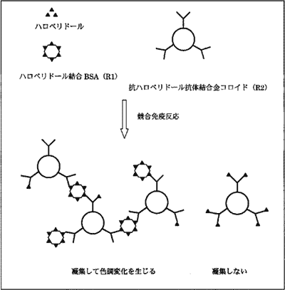 測定原理（原理図）