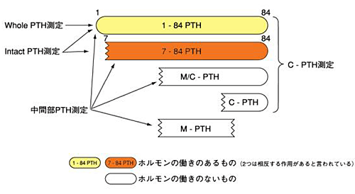 アッセイ系