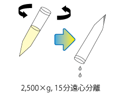 検査方法、男性初尿検体、手順