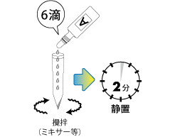 検査方法、男性初尿検体、手順