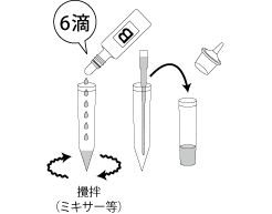 検査方法、男性初尿検体、手順