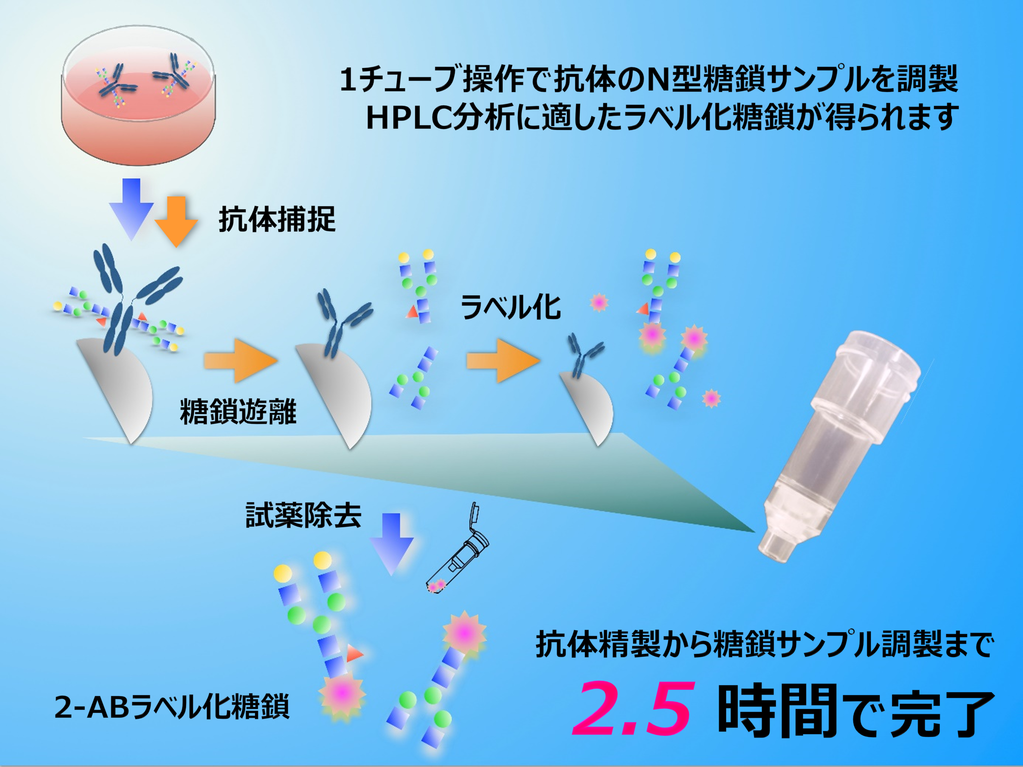 EZGlyco® mAb-N Kit with 2-ABのワークフロー