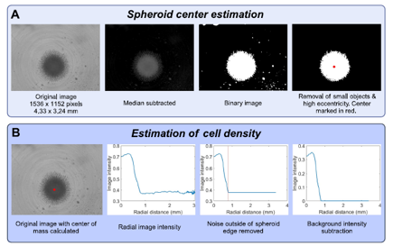Fig. 9 | Data processing pipeline.