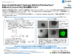 Xeno-freeのVitroGel® Hydrogel MatrixとPrimeSurface®を用いたスフェロイドの三次元浸潤アッセイ