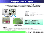 PrimeSurface®を用いたES細胞の分化誘導実験例