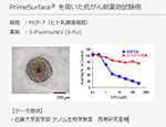 PrimeSurface®を用いた抗がん剤薬効試験例