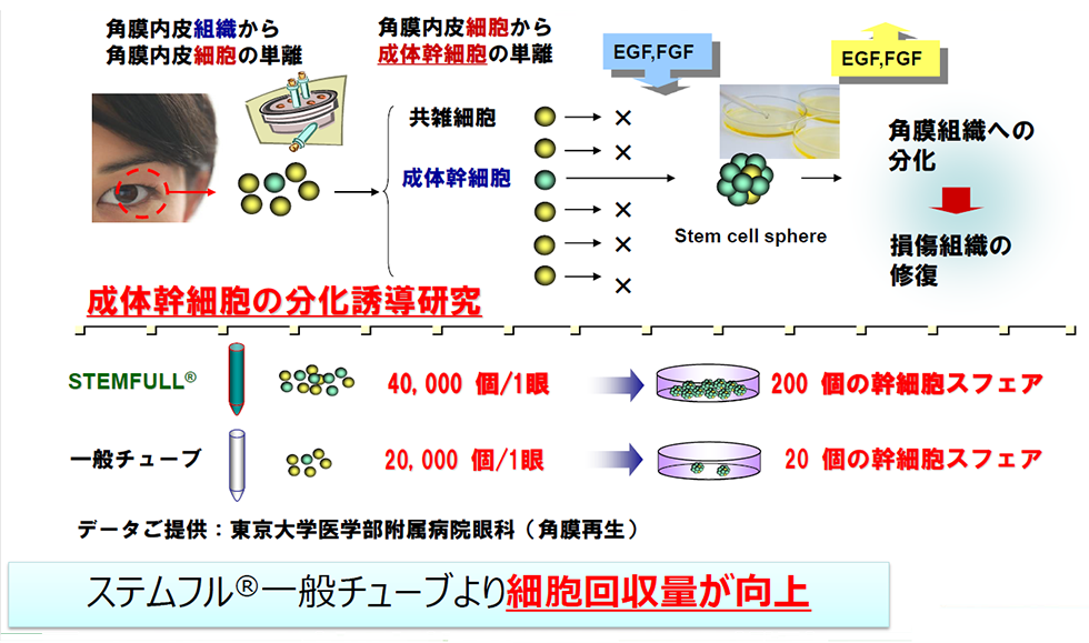 ステムフル®一般ｔｙ－ブより細胞回収量が向上