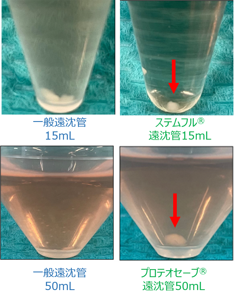スフェロイドの形成比較