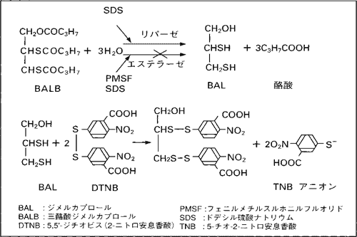 測定原理（原理図）