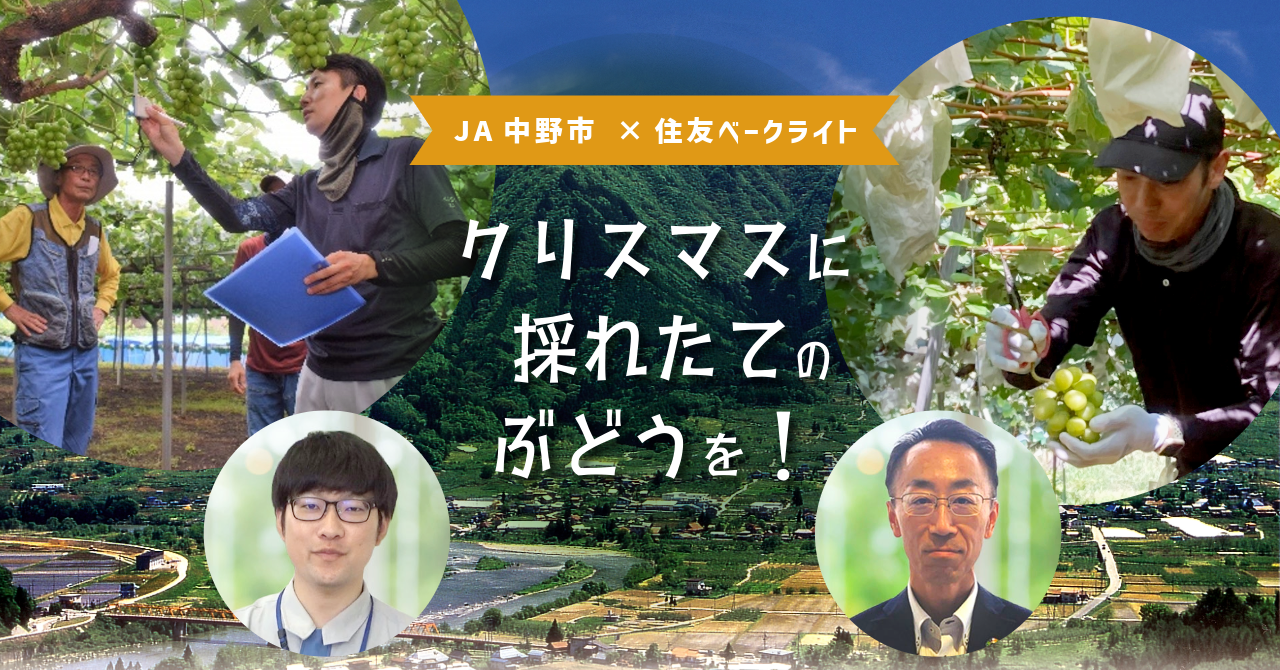クリスマスに採れたてのぶどうを！