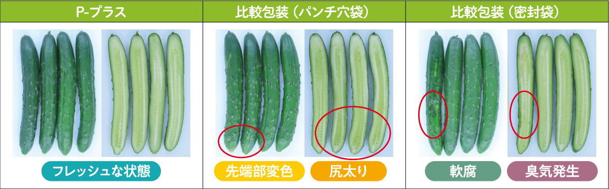 $B2hA|(B1