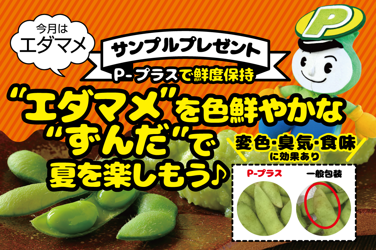 メールマガジン写真