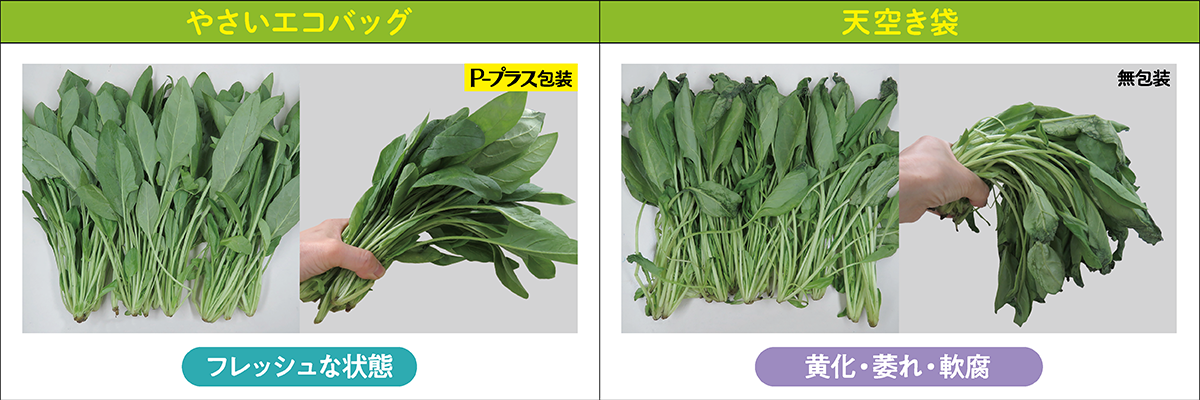 $B$[$&$l$sAp2hA|(B