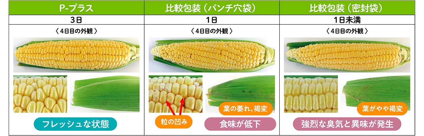 画像１