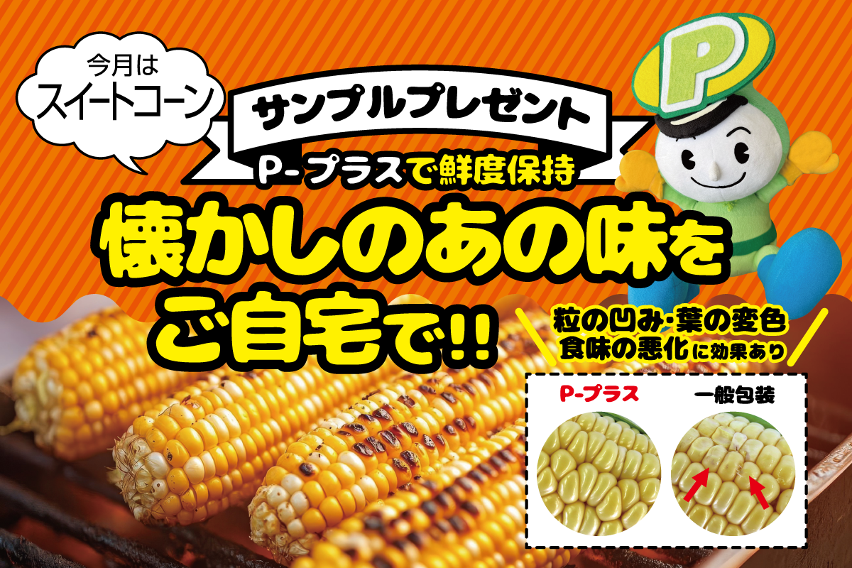 トップ画像
