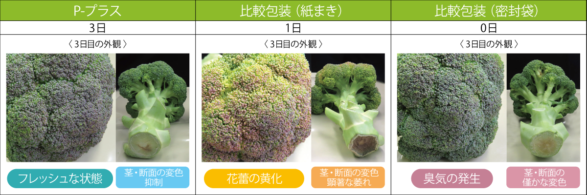 ブロッコリー画像1