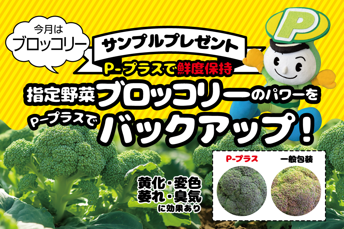 トップイメージ