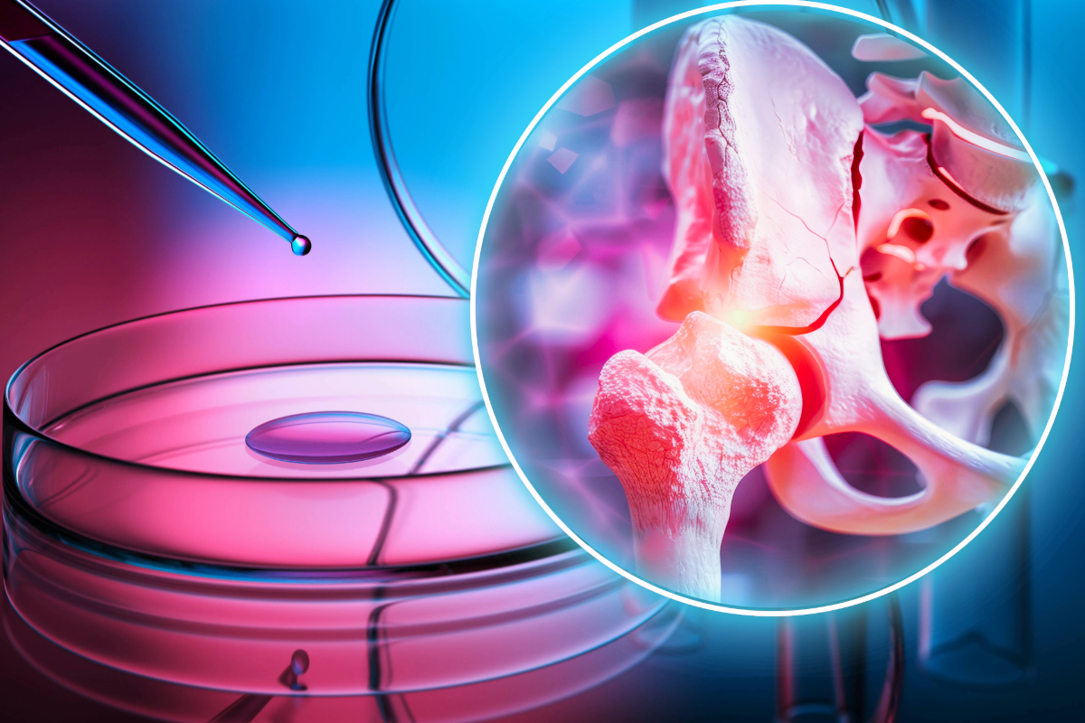 トップ画像 トップ画像