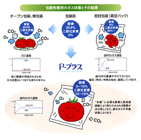 貯蔵 ca