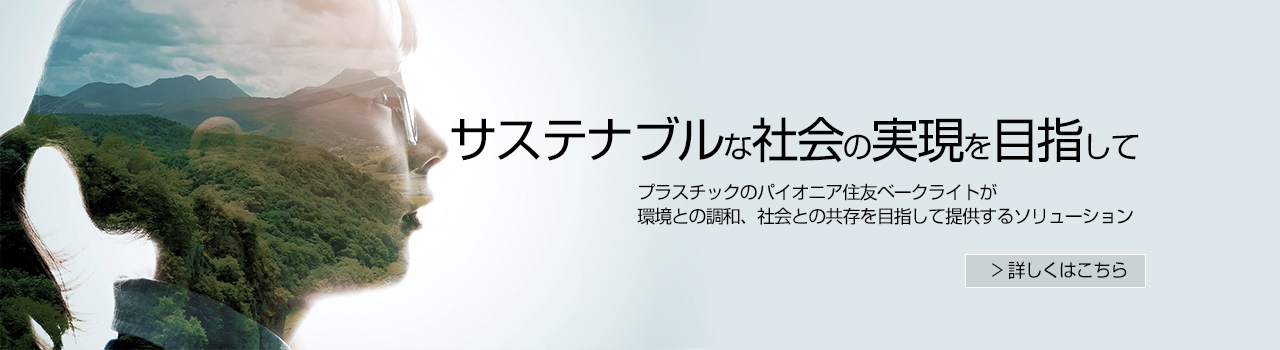 住友ベークライト株式会社 プラスチックのパイオニア 住友ベークライト株式会社 プラスチックのパイオニア