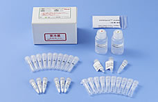 抗体糖鎖分析キット EZGlyco® mAb-N Kit with 2-AB