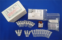 O型糖鎖調製キット EZGlyco® O-Glycan Prep Kit