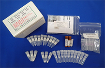 O型糖鎖調整キットEZGlyco® O-Glycan Prep Kit