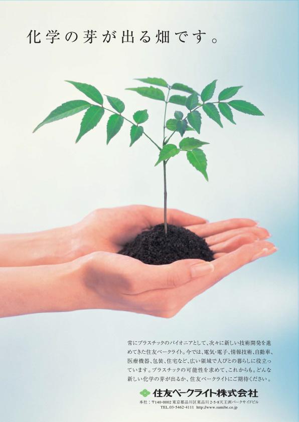 化学の芽が出る畑です。